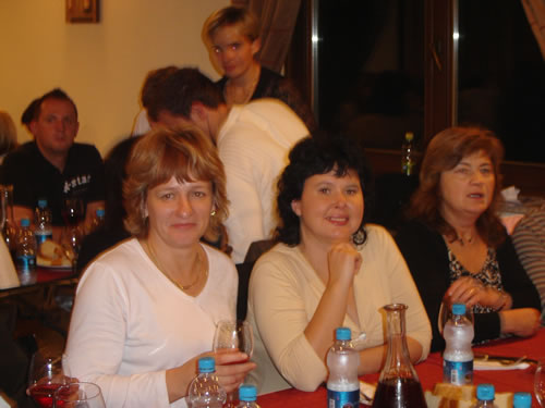 Martinovanje v DMSBZT Novo mesto Martinovanje v DMSBZT Novo mesto